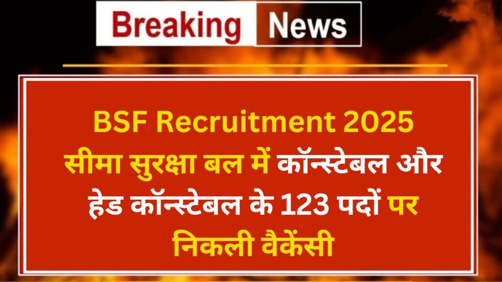 BSF Recruitment 2025