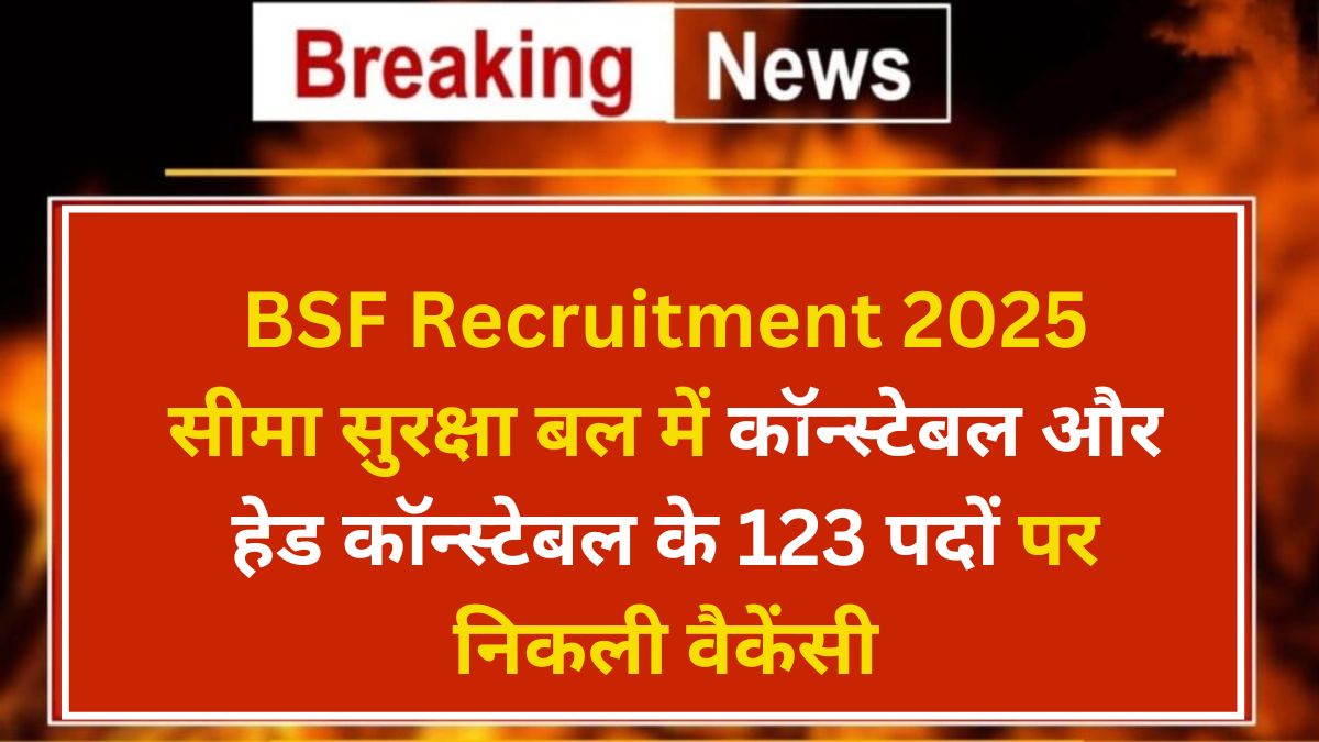BSF Recruitment 2025