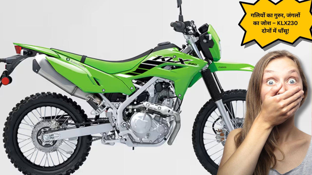 Kawasaki KLX 230 bike IMAGE